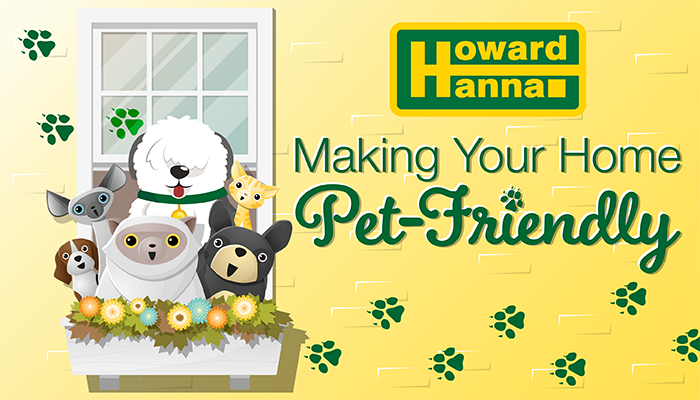 Making your Home Pet Friendly