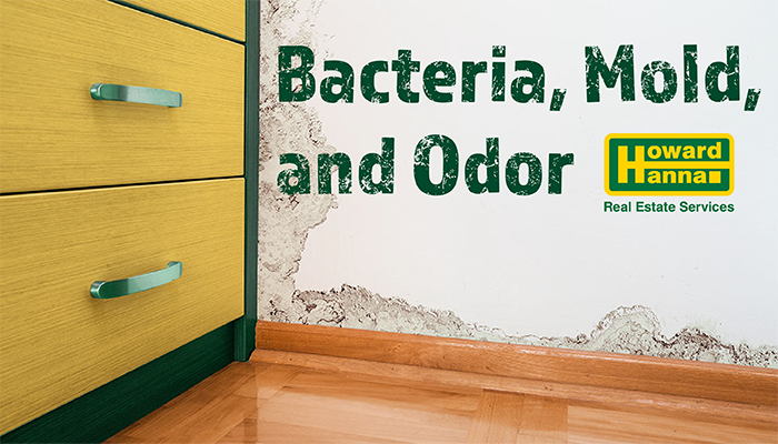 Bacteria, Mold, and Odor