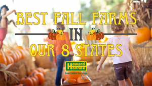 Best Fall Farms