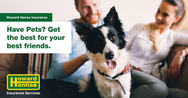 best pet insurance for dogs 2019