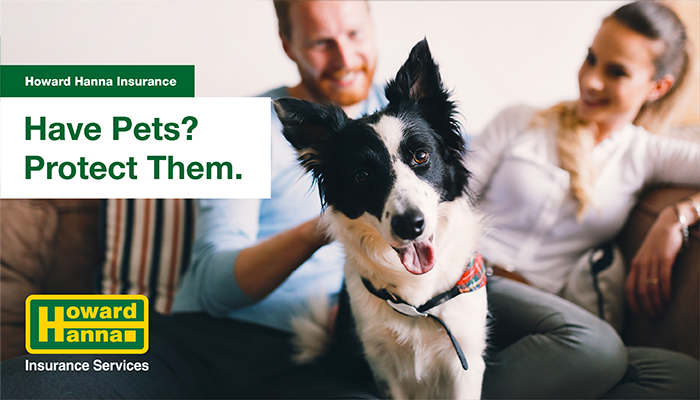 Pet Safety and Pet Insurance