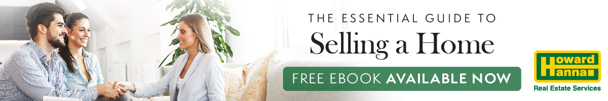 Sellers Guide Ebook Blog Ad-01
